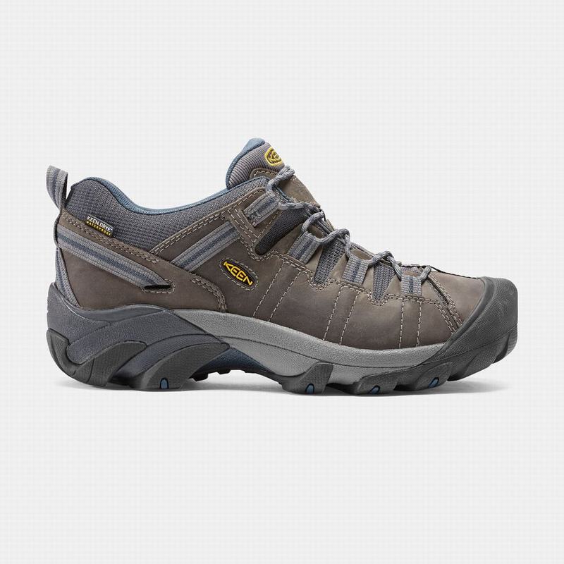 Keen 靴 | キーン ターギー 2 防水 登山 靴 メンズ ブラウン | 418593-RLO